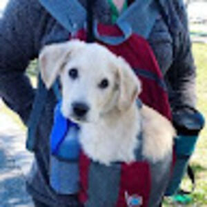 Meet your Posher, Raymond